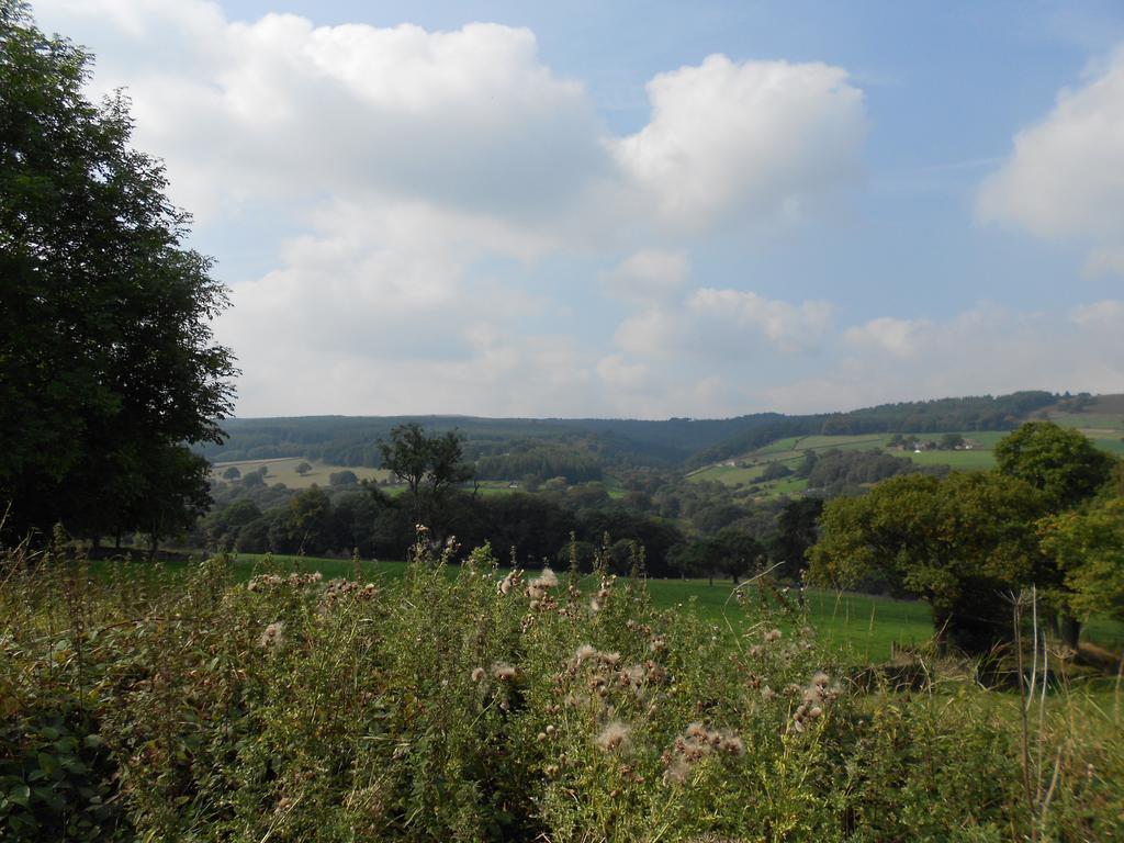 Whaley Bridge The Shady Oak B&B المظهر الخارجي الصورة