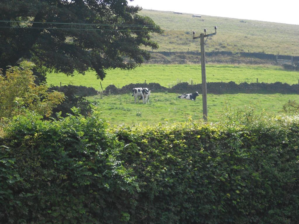 Whaley Bridge The Shady Oak B&B المظهر الخارجي الصورة